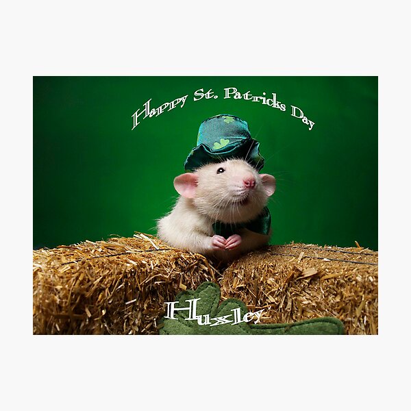 Item preview, Happy ST. Patricks day designed and sold by strickland.