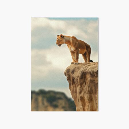 Item preview, Lioness on edge of cliff in Africa - Wildlife photo designed and sold by TheArtistOf2022.