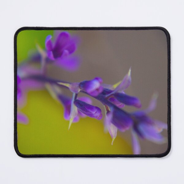Item preview, Connected designed and sold by equilibrio.