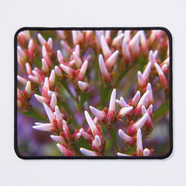 Item preview, Sentidos designed and sold by equilibrio.
