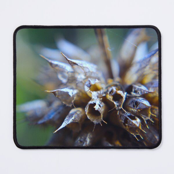 Item preview, Message designed and sold by equilibrio.