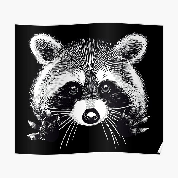 Little raccoon buddy Poster