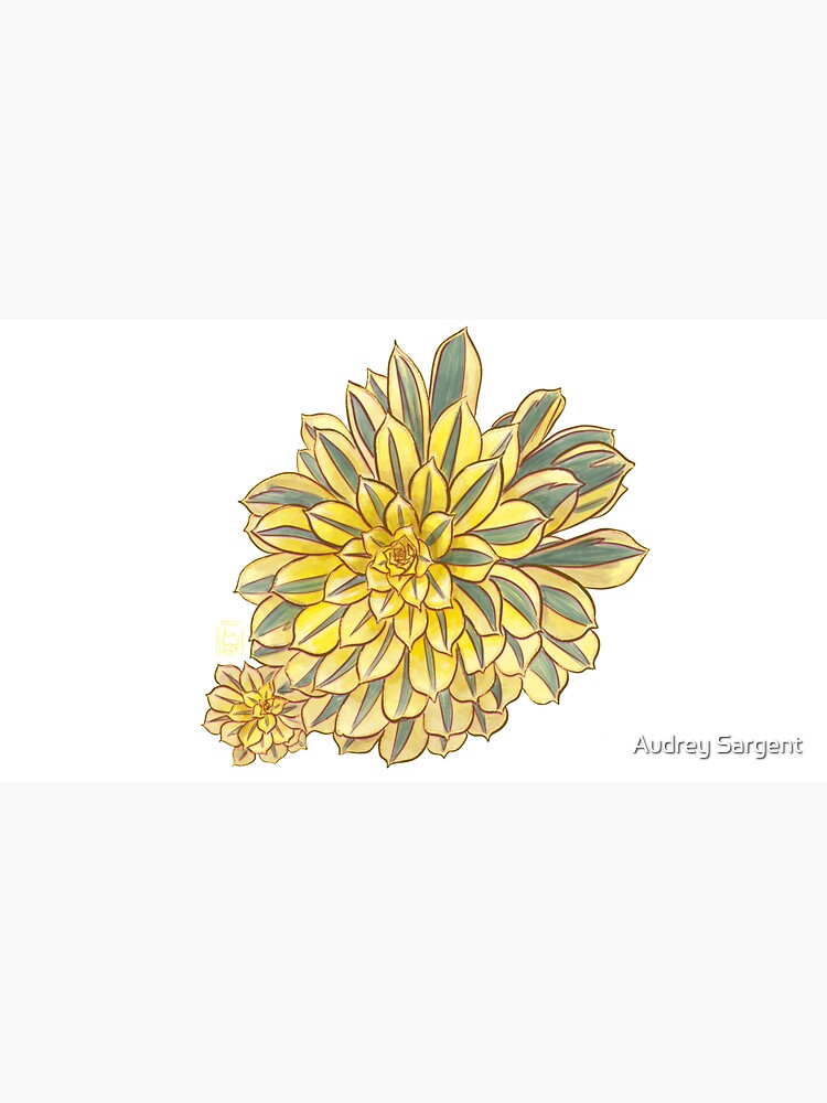 Thumbnail 7 of 7, Cap, Succulent Jewels: Aeonium Sunburst designed and sold by audreysargent.