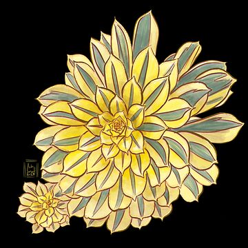 Artwork thumbnail, Succulent Jewels: Aeonium Sunburst by StoutHeart Studio
