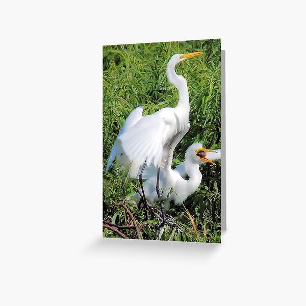 The Mouth of Babes Greeting Card