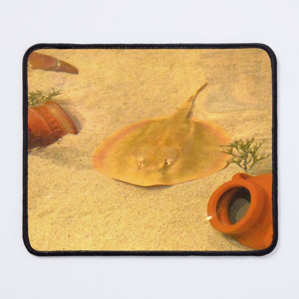 Item preview, Mandalay Bay Aquarium: Stingray designed and sold by MangoSeeds.