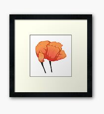 Blooming California Poppies Framed Print