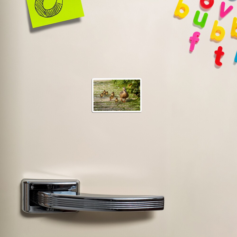 Item preview, Magnet designed and sold by youngpip.