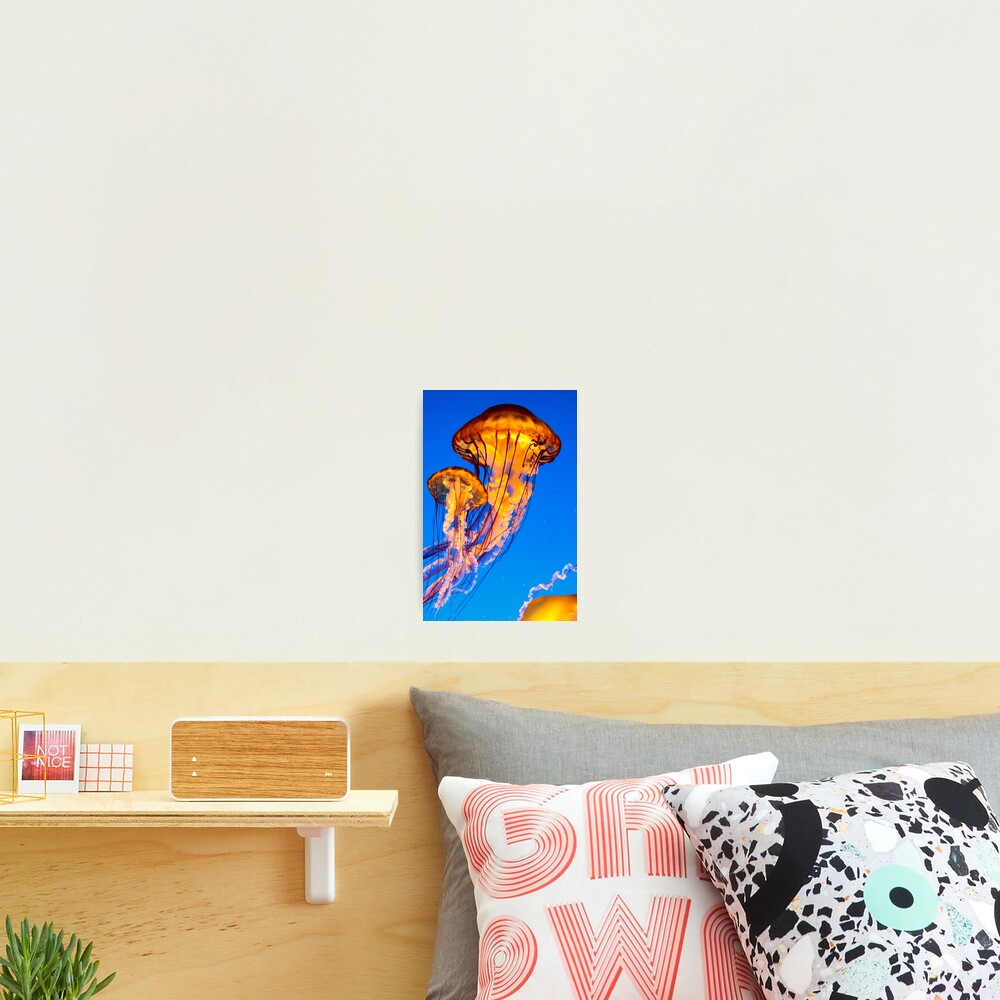 Item preview, Photographic Print designed and sold by youngpip.