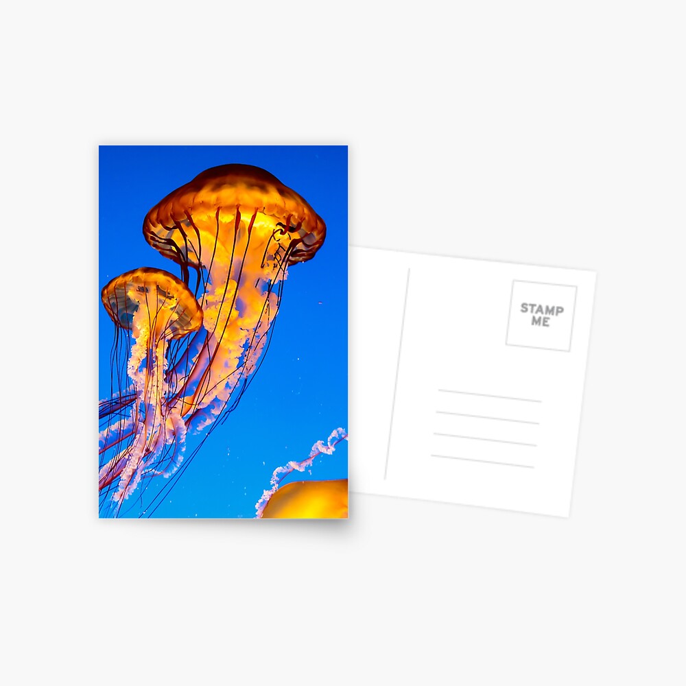 Item preview, Postcard designed and sold by youngpip.