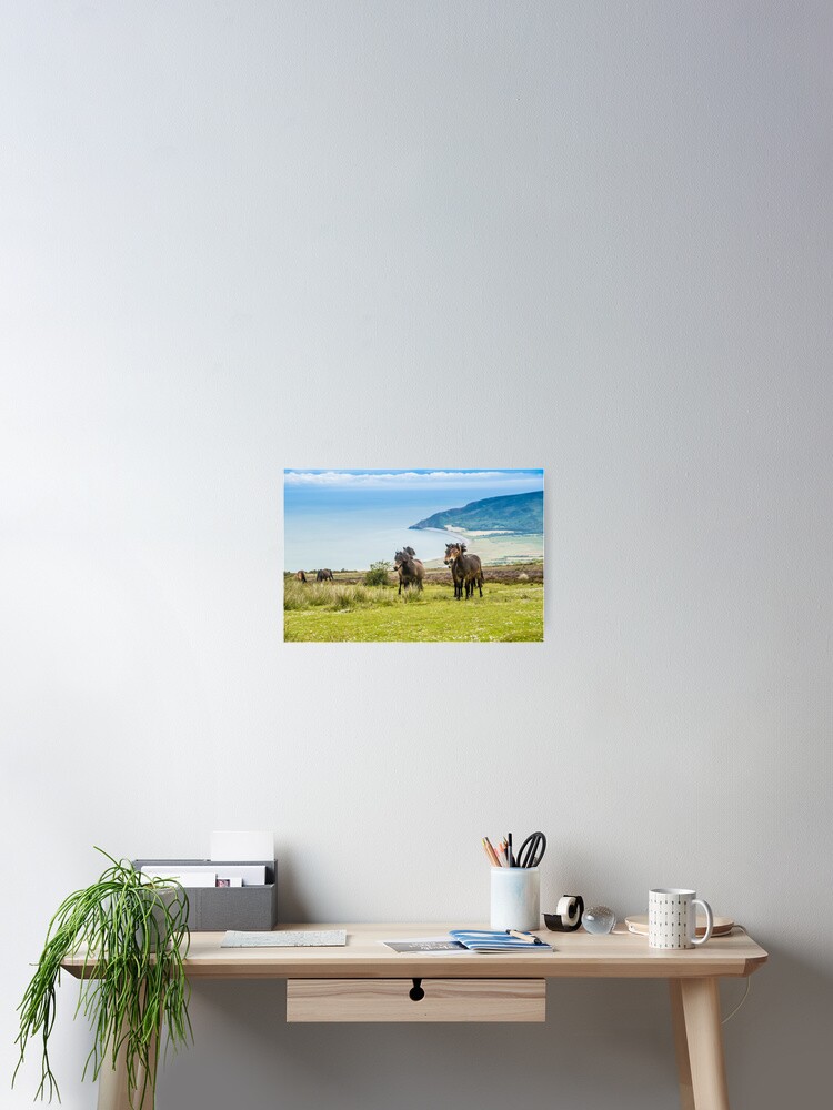 Thumbnail 2 of 3, Poster, Wild ponies in Exmoor, UK designed and sold by youngpip.