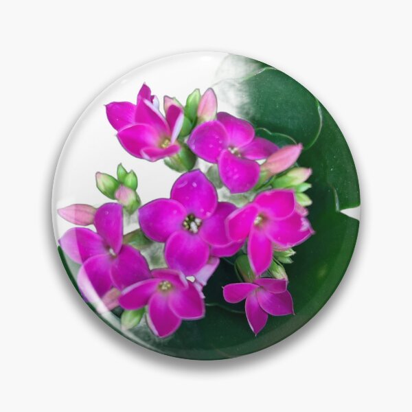 Item preview, Pink flowers  designed and sold by Lauracolleen3.