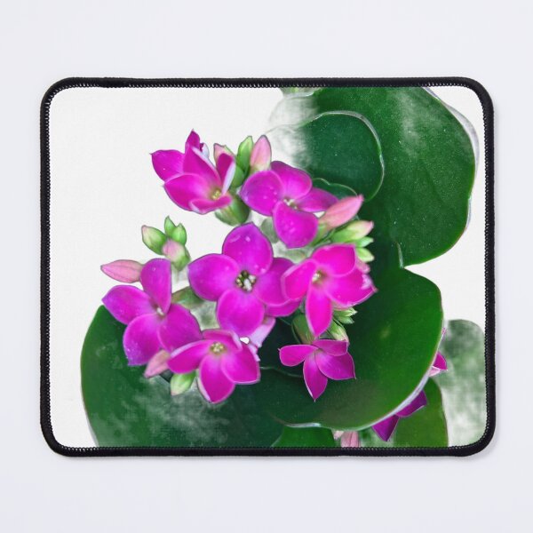 Item preview, Pink flowers  designed and sold by Lauracolleen3.