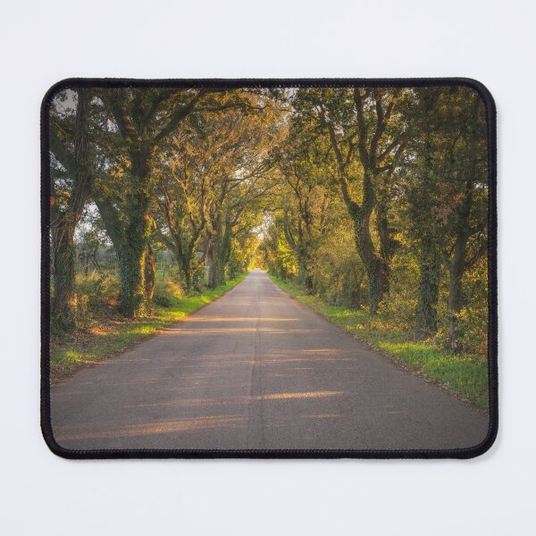 Item preview, Bolgherese Road in Autumn. Tuscany, Italy designed and sold by Stefano Orazzini.