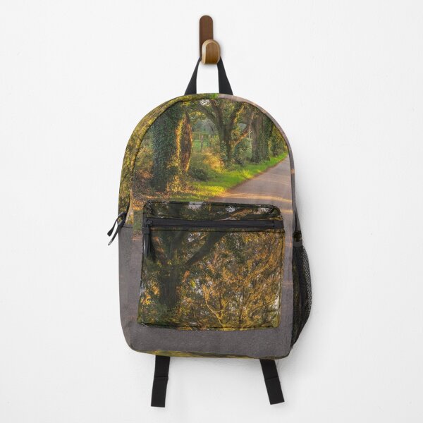 Item preview, Bolgherese Road in Autumn. Tuscany, Italy designed and sold by Stefano Orazzini.