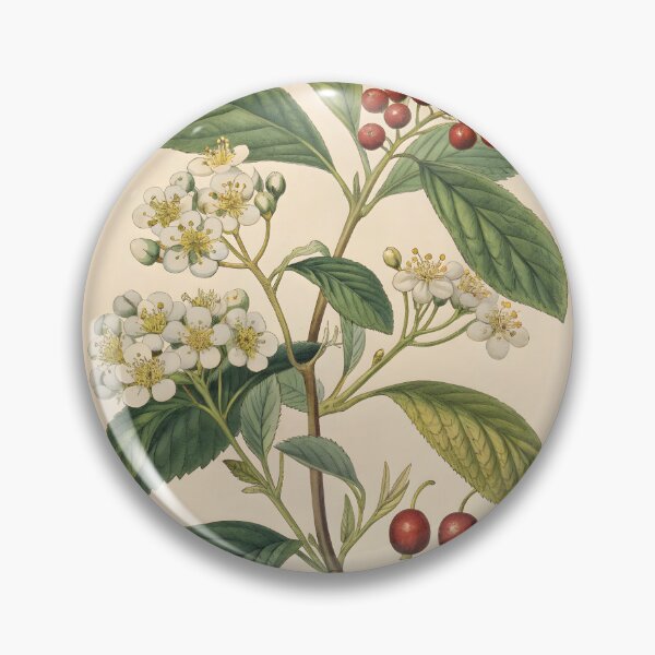 Item preview, vintage lithography poster with flowers and berries designed and sold by DuskTillDown.