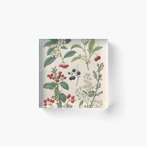Item preview, Vintage lithography poster with flowers and berries designed and sold by DuskTillDown.