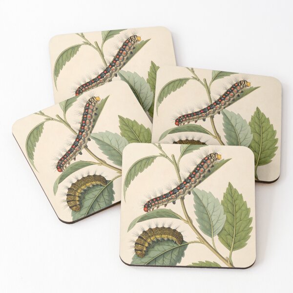 Item preview, Vintage lithography poster with flowers and caterpillars designed and sold by DuskTillDown.