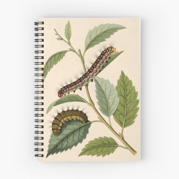 Item preview, Vintage lithography poster with flowers and caterpillars designed and sold by DuskTillDown.