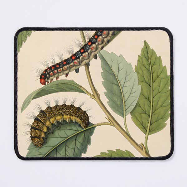 Item preview, Vintage lithography poster with flowers and caterpillars designed and sold by DuskTillDown.