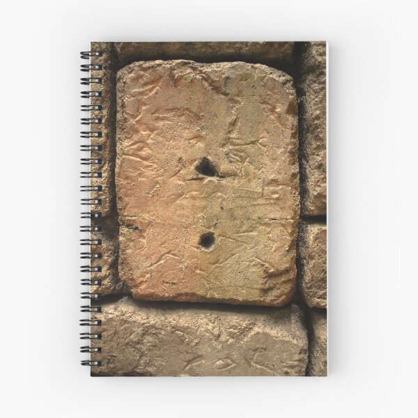 Item preview, Mandalay Bay Aquarium: Another Brick in the Wall designed and sold by MangoSeeds.