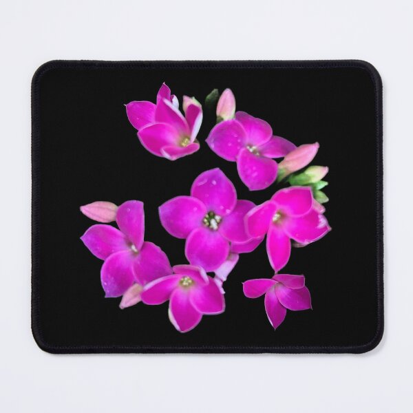 Item preview, Pink flowers black background  designed and sold by Lauracolleen3.
