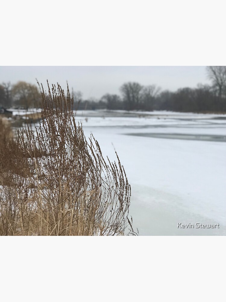 River bank by stewak21