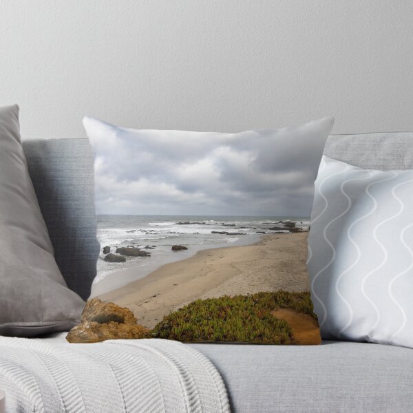 Item preview, Scenic View of Pescadero State Beach 2 designed and sold by jrtwynam.