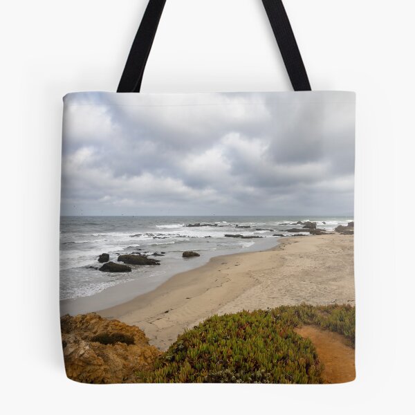 Item preview, Scenic View of Pescadero State Beach 2 designed and sold by jrtwynam.