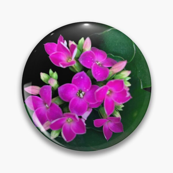 Item preview, Pink flowers with black background  designed and sold by Lauracolleen3.