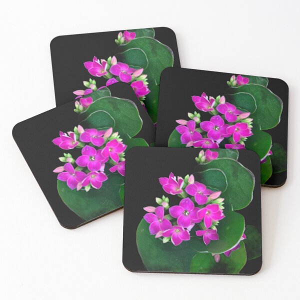 Item preview, Pink flowers with black background  designed and sold by Lauracolleen3.