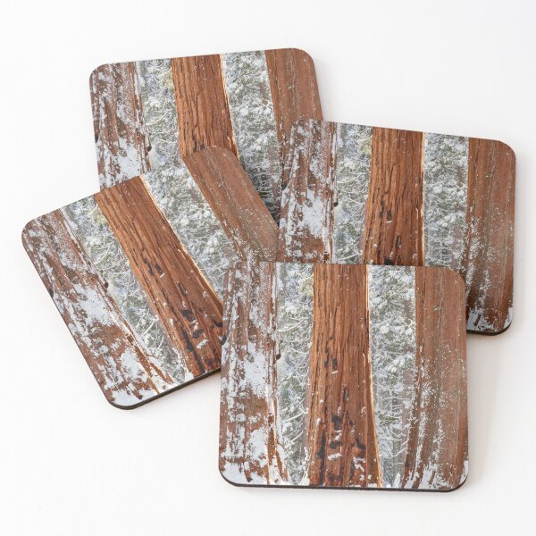 Great Trees of the Sierra Coasters (Set of 4)