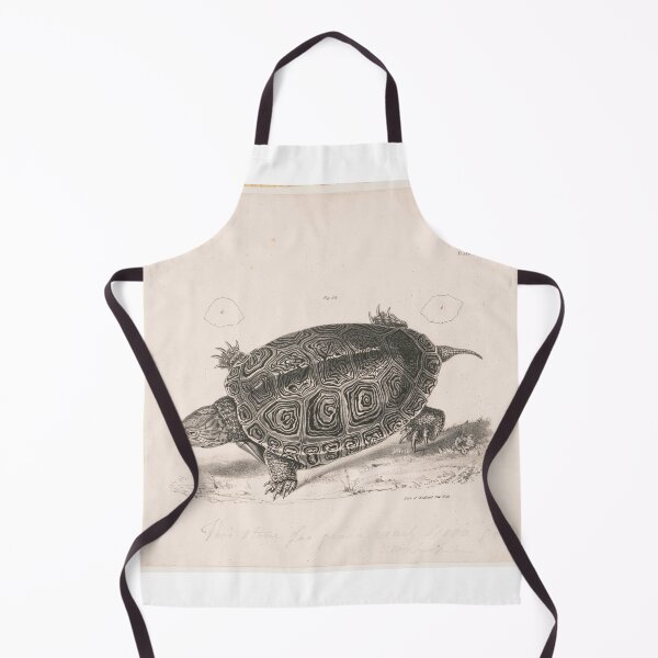 Item preview, Vintage Turtle Illustration designed and sold by Stardust✨️Art.
