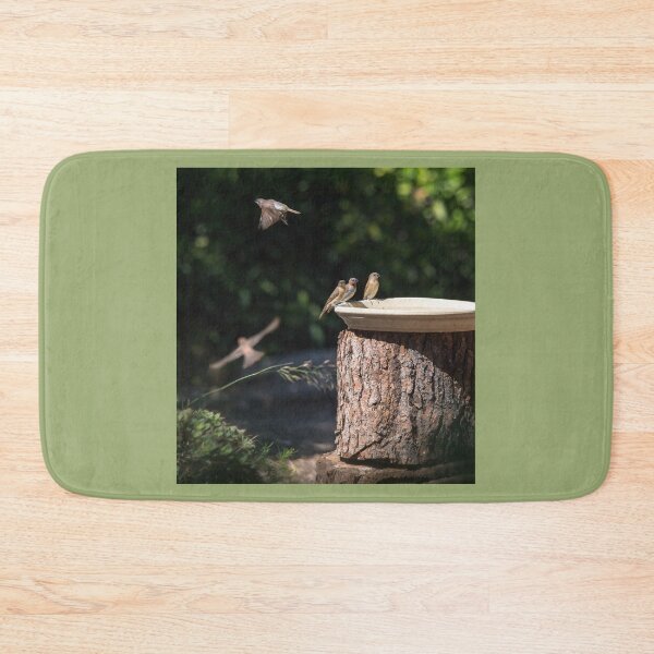 Item preview, Backyard Birds Enjoying a Sunny Day designed and sold by CarolM.