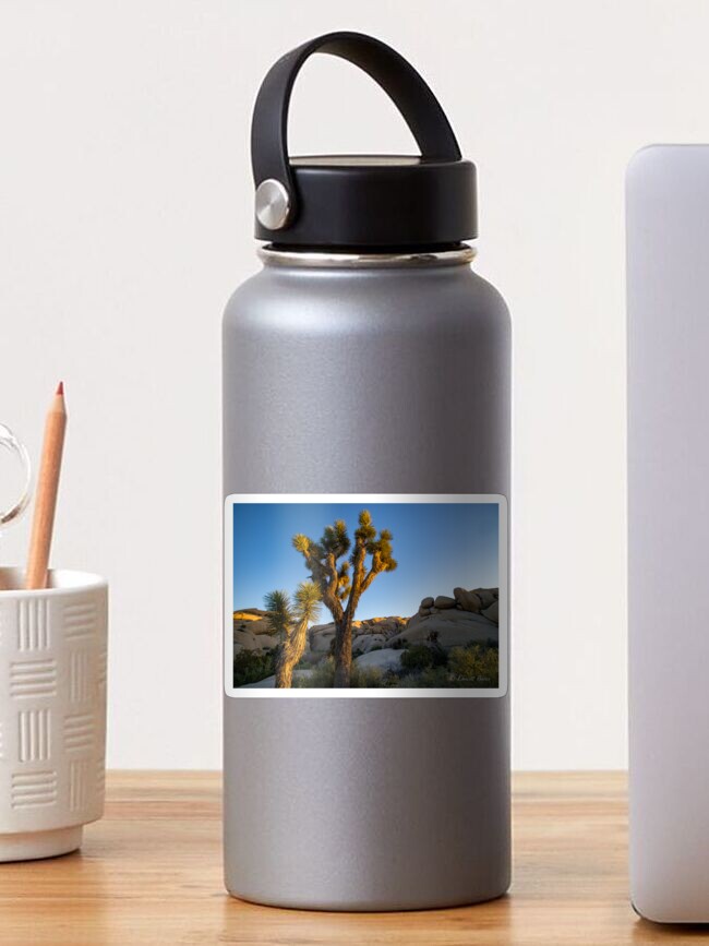 Thumbnail 1 of 3, Sticker, In the Arms of the Joshua Trees designed and sold by EmmettBurns.