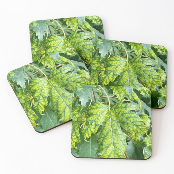 Item preview, Maple Magic designed and sold by Lana Magnolia.