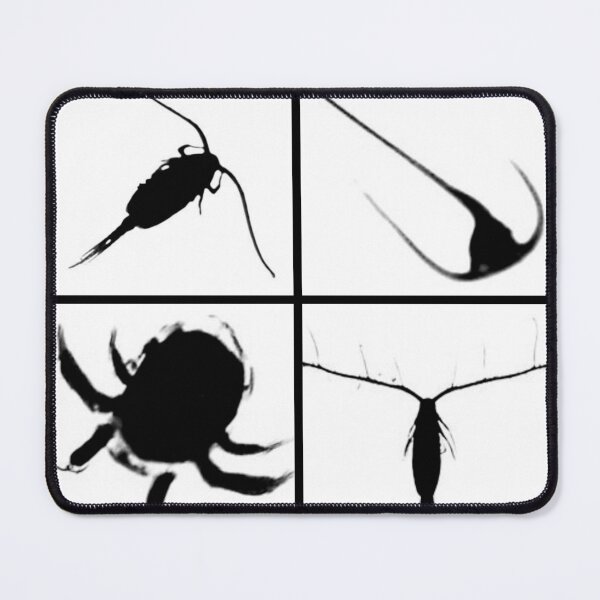 Item preview, Plankton Silhouettes designed and sold by Marine Wonders.