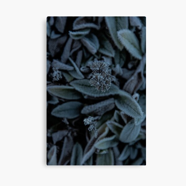 Item preview, Sprout designed and sold by IdleImages.