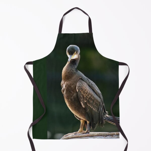 Item preview, Juvenile Cormorant designed and sold by Tom McPherson Photography.