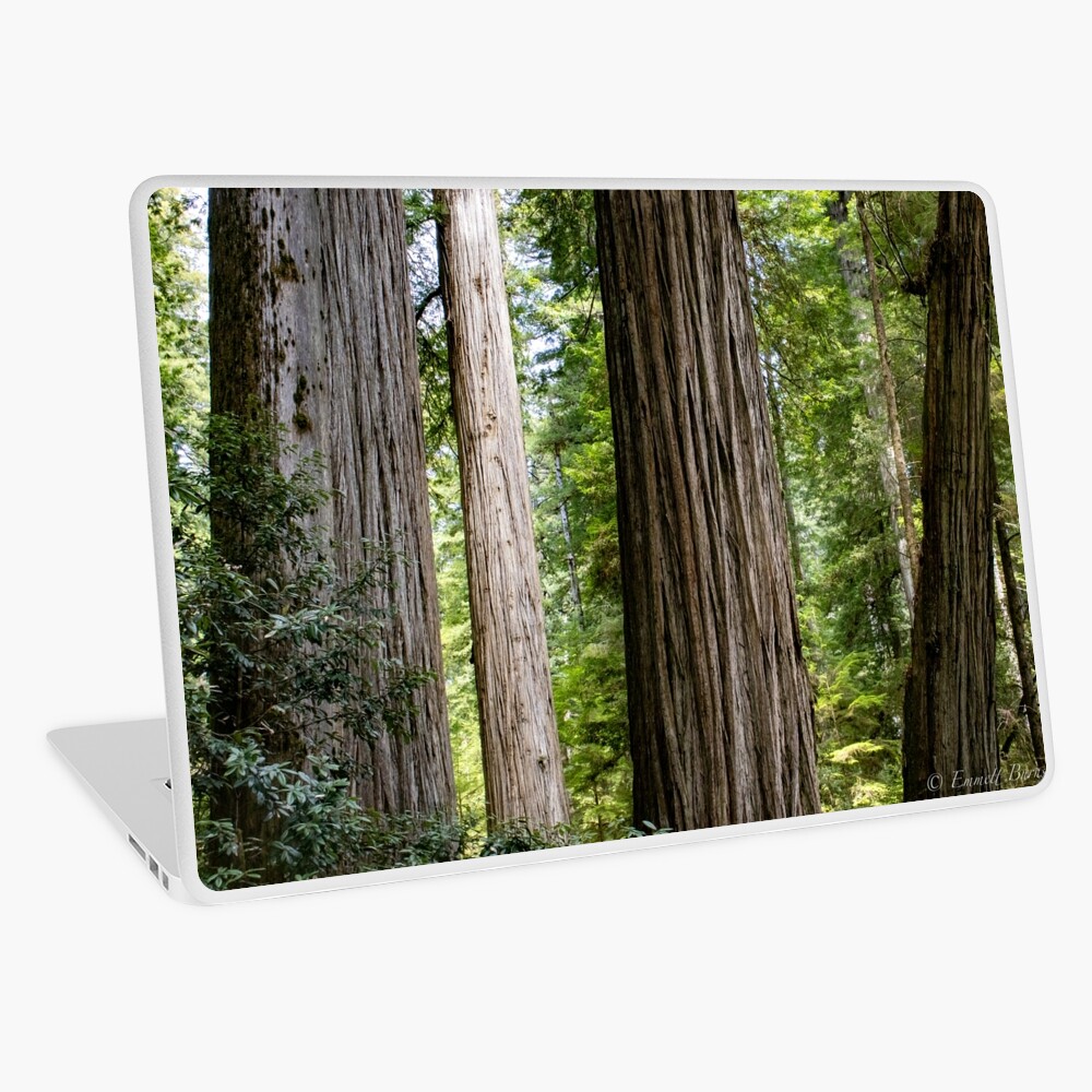 Item preview, Laptop Skin designed and sold by EmmettBurns.