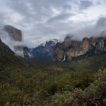 Artwork thumbnail, Stormy Yosemite by EmmettBurnsPhotography