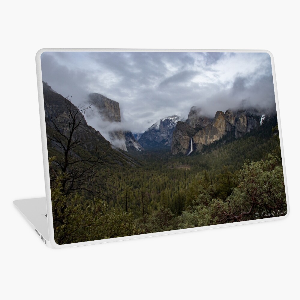 Item preview, Laptop Skin designed and sold by EmmettBurns.
