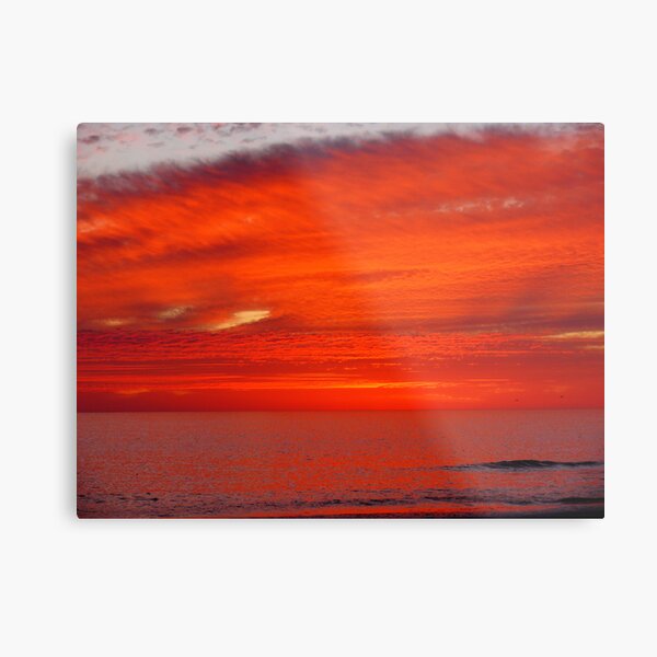 Untitled Metal Print