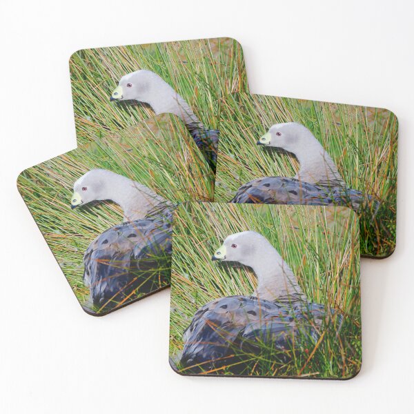 Item preview, Goose in the Grass designed and sold by D-GaP.