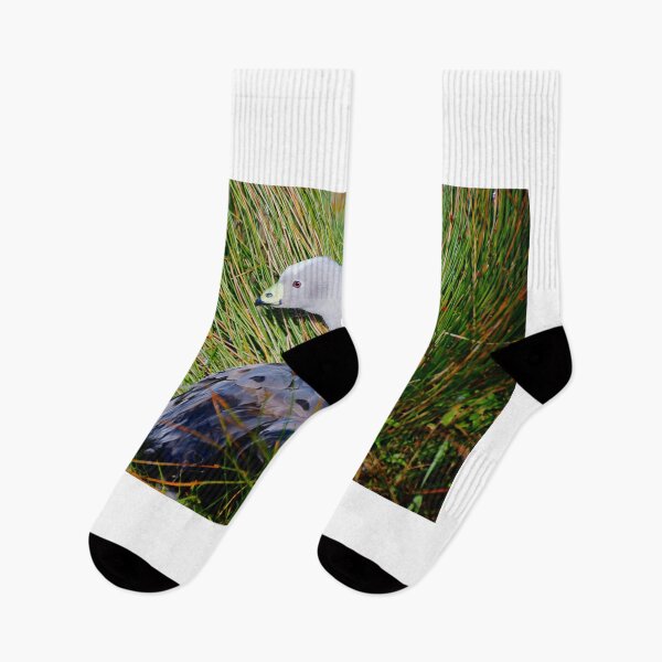 Item preview, Goose in the Grass designed and sold by D-GaP.