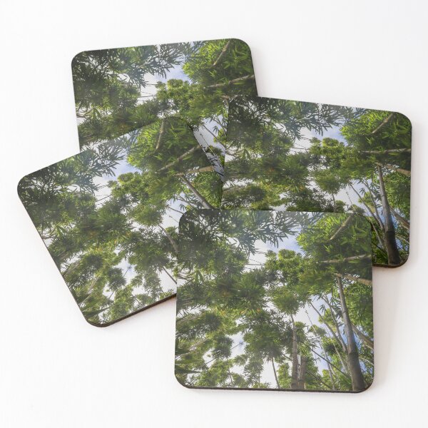 Item preview, Bamboo in Hawaii designed and sold by EmmettBurnsPhotography.