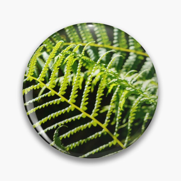 Item preview, fern photograph designed and sold by El-images1.