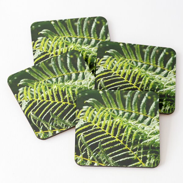 Item preview, fern photograph designed and sold by El-images1.