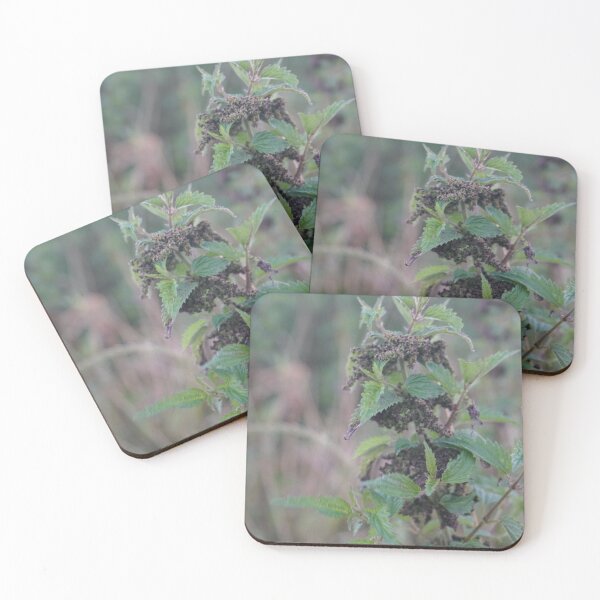 Item preview, nettle photograph designed and sold by El-images1.