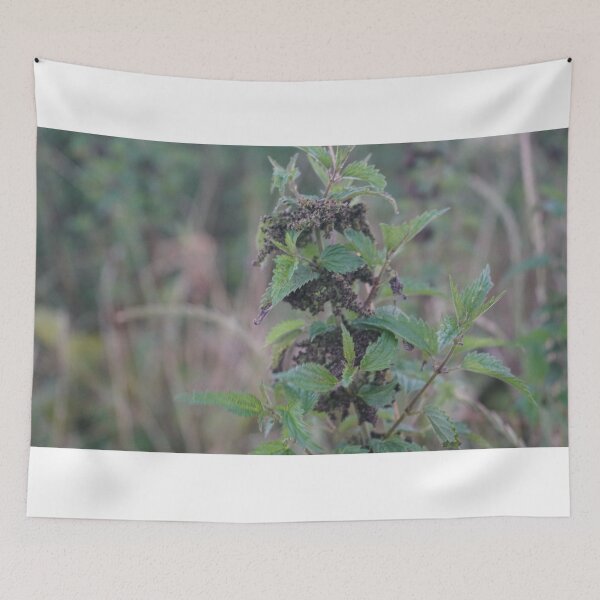 Item preview, nettle photograph designed and sold by El-images1.